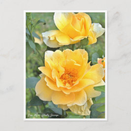Rose Garden Postkarte