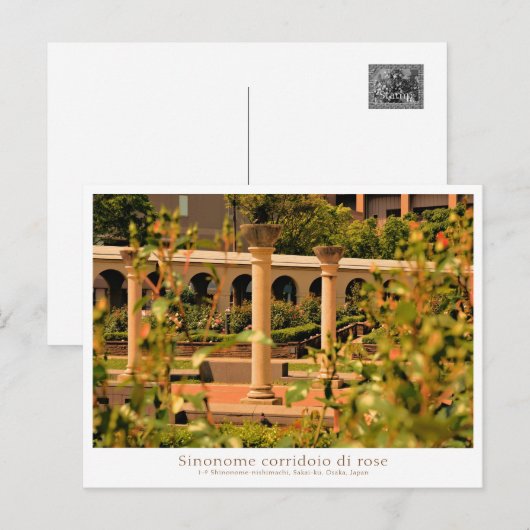 Rose Garden Scenery Postkarte (Vorne/Hinten)