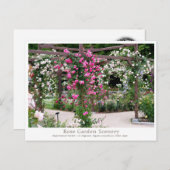 Rose Garden Scenery Postkarte (Vorne/Hinten)