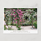 Rose Garden Scenery Postkarte (Vorderseite)