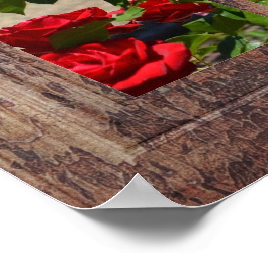 Rose Garden Window Scene Poster (Ecke)