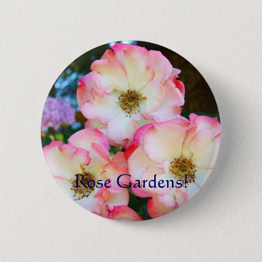 Rose Gärten! Knöpfe Rosensteine Blume Button (Vorderseite)