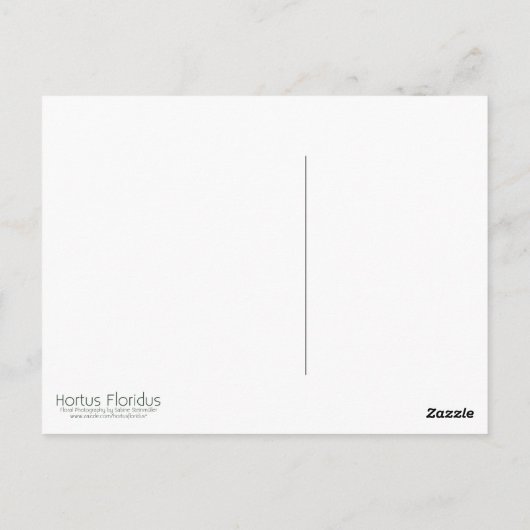 Rose Geburtstagskarte | Rose Postkarte (Rückseite)