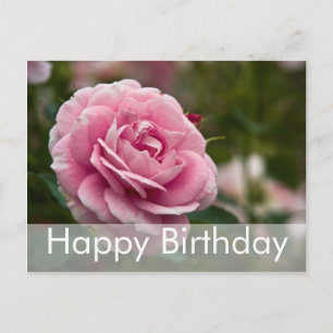 Rose Geburtstagskarte Rose Postkarte