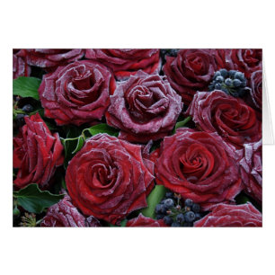 Rose gefroren