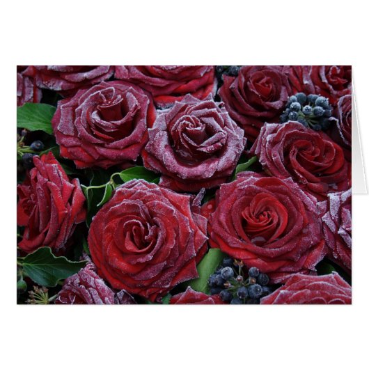 Rose gefroren (Vorderseite (Horizontal))