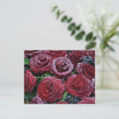 Rose gefroren postkarte (Stehend Vorderseite)
