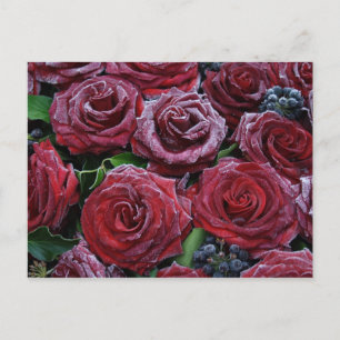 Rose gefroren postkarte