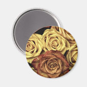 Rose gelb und rot magnet (Vorderseite/Rückseite)