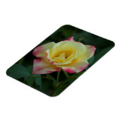 Rose gemeine Liebe! Magnet (Linke Seite)
