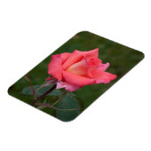 Rose gemeine Liebe! Magnet (Linke Seite)