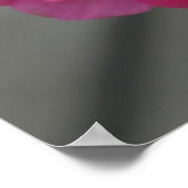 Rose Geranium Blume Poster (Ecke)