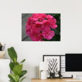 Rose Geranium Blume Poster (Heimbüro)