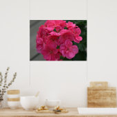 Rose Geranium Blume Poster (Küche)