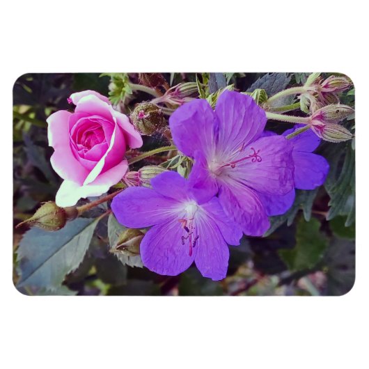 Rose & Geranium Grosser Magnet für personalisierte (Horizontal)