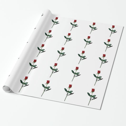 ROSE GESCHENKPAPIER (Ungerollt)