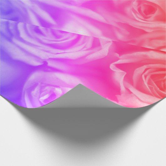Rose Geschenkpapier (Ecke)