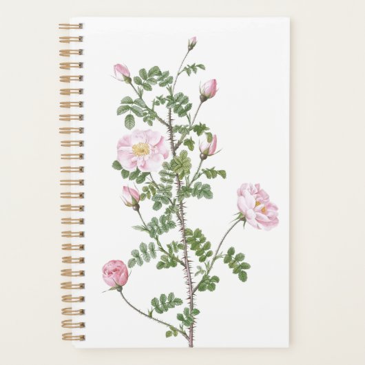 Rose Girly 2023 Planer (Vorderseite)