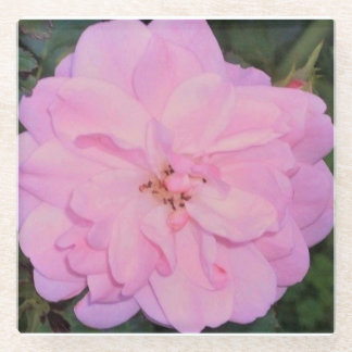 Rose Glasuntersetzer