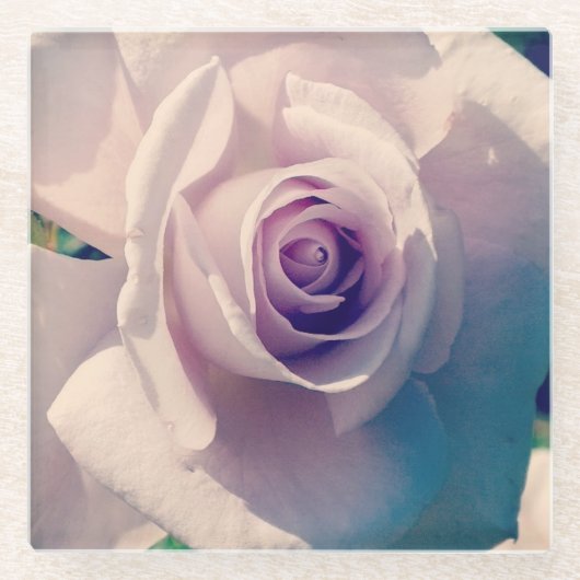 Rose Glasuntersetzer (Vorderseite)