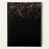 Rose Gold Glitzer Funkelnd Elegantes Glamour Scrip Planer (Rückseite)