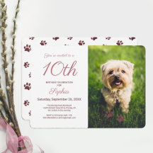 Rose Gold Glitzer Paw Prints Pet Birthday Foto
