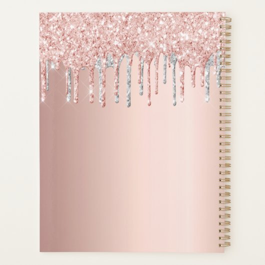 Rose Gold Glitzer Rosa Silber 2025 Planer (Rückseite)