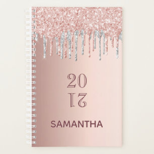 Rose Gold Glitzer Rosa Silber 2026 Planer