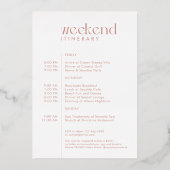 Rose Gold "Last Fling" Bachelorette Foto Folieneinladung (Rückseite)