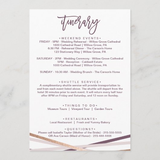 Rose Gold Streamers Begrüßungsbrief und Informatio Programm (Rückseite)