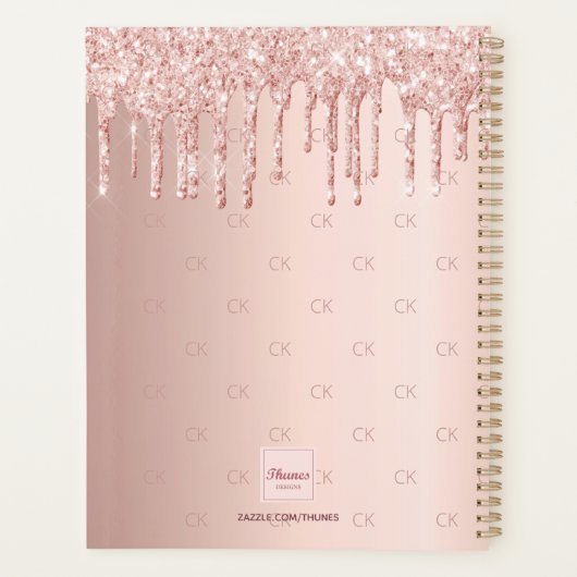 Rose Gold Tropfen Monogramm Skript 2025 Planer (Rückseite)