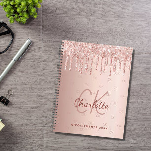 Rose Gold Tropfen Monogramm Skript 2025 Planer
