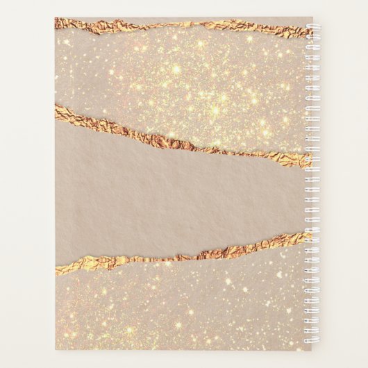 Rose Goldagate Glitzer Marmor Monogramm 202 Planer (Rückseite)