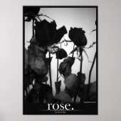 Rose [Grenze] Poster (Vorne)