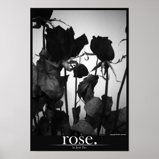 Rose [Grenze] Poster (Vorne)