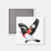 Rose Grosbeak Wild Bird Magnet (Vorderseite/Rückseite)