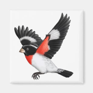 Rose Grosbeak Wild Bird Magnet