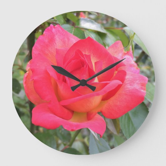 Rose Große Wanduhr (Vorderseite)