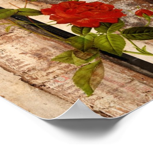 Rose Grunge Poster (Ecke)
