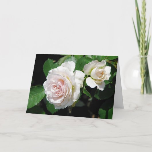 Rose Grußkarte Karte (Vorderseite)