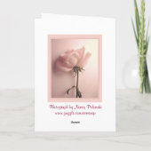 Rose Grußkarte Karte (Rückseite)
