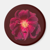 ROSE H MAGNET (Vorne)