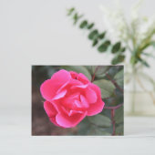 Rose Herbst Postkarte (Stehend Vorderseite)