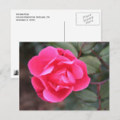 Rose Herbst Postkarte (Vorne/Hinten)