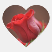 Rose Herz-Aufkleber (Vorderseite)