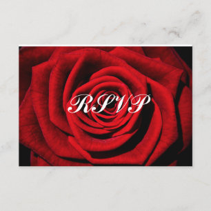 Rose Hintergrund Blume Hochzeit/16 . Geburtstag UA RSVP Karte
