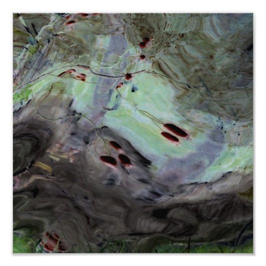 "Rose Hips" Abstrakte Reflektion in Mylar Fotodruck (Vorne)