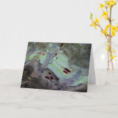 "Rose Hips" Abstrakte Reflektion in Mylar Karte (Gelbe Blume)