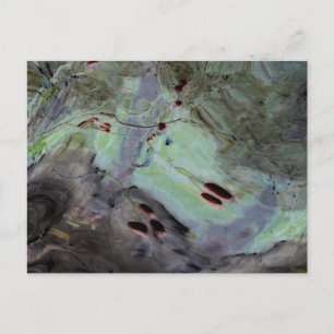 "Rose Hips" Abstrakte Reflektion in Mylar Postkarte