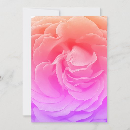 Rose Hochzeitseinladung Einladung (Rückseite)